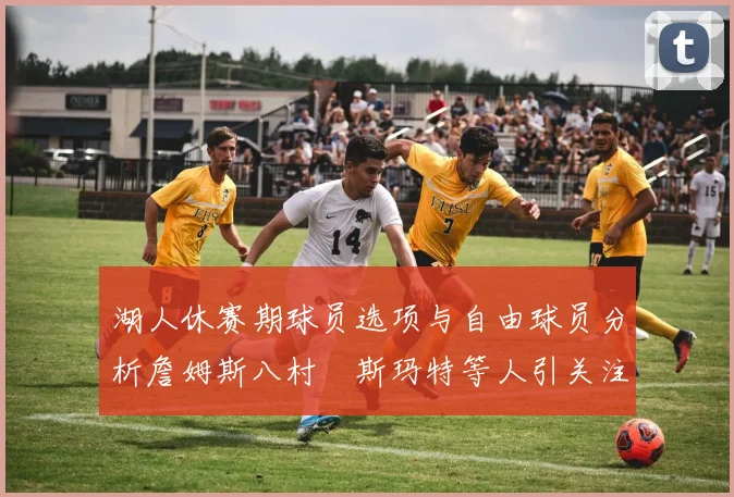 湖人休赛期球员选项与自由球员分析詹姆斯八村塁斯玛特等人引关注